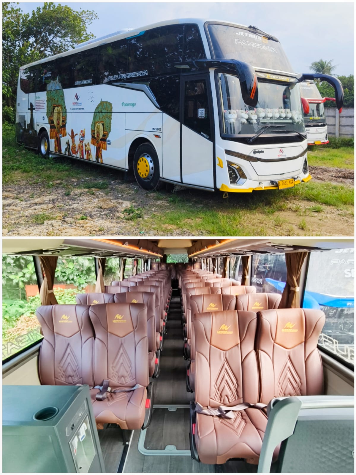 Big Bus 50 seat 