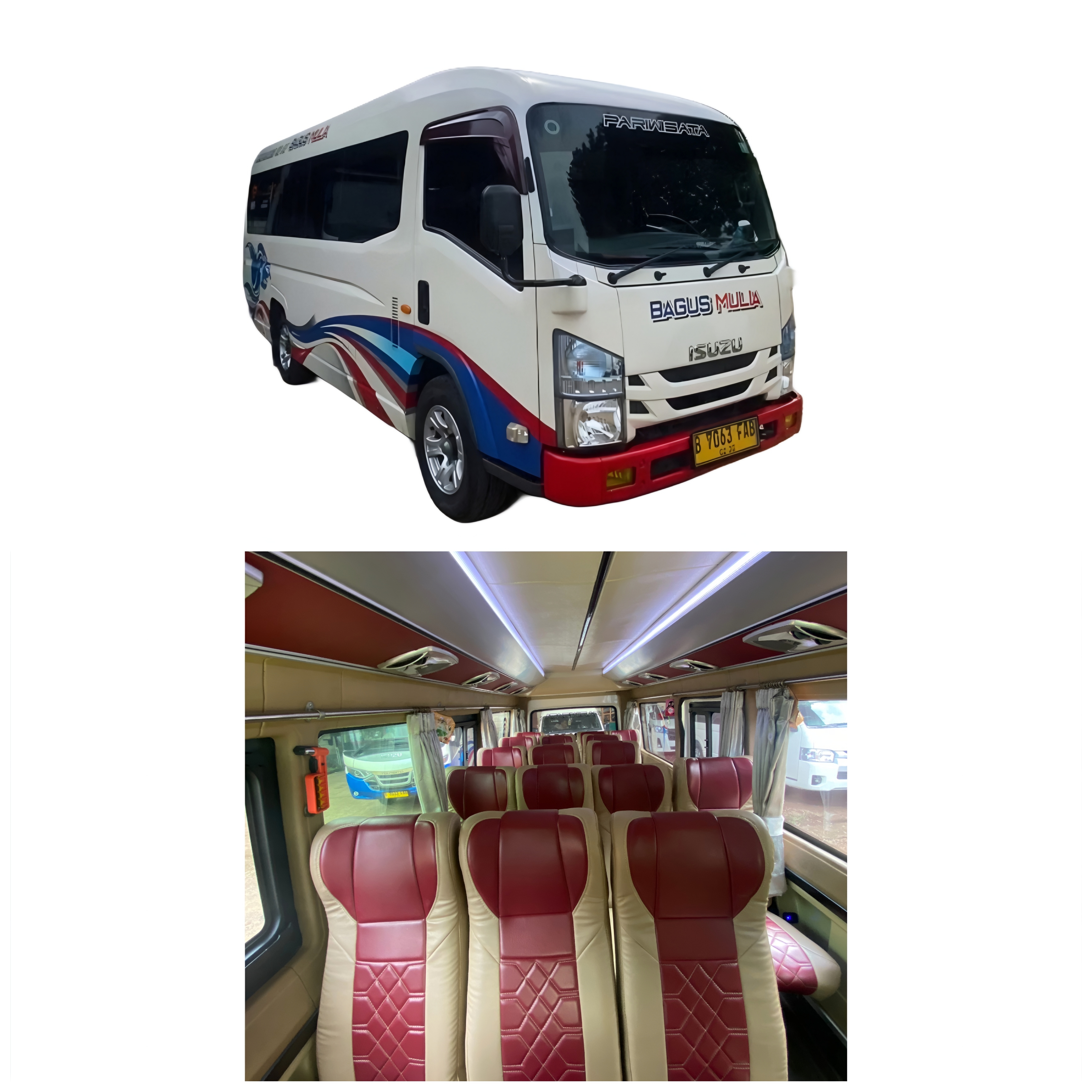 Elf Long 18 Seat