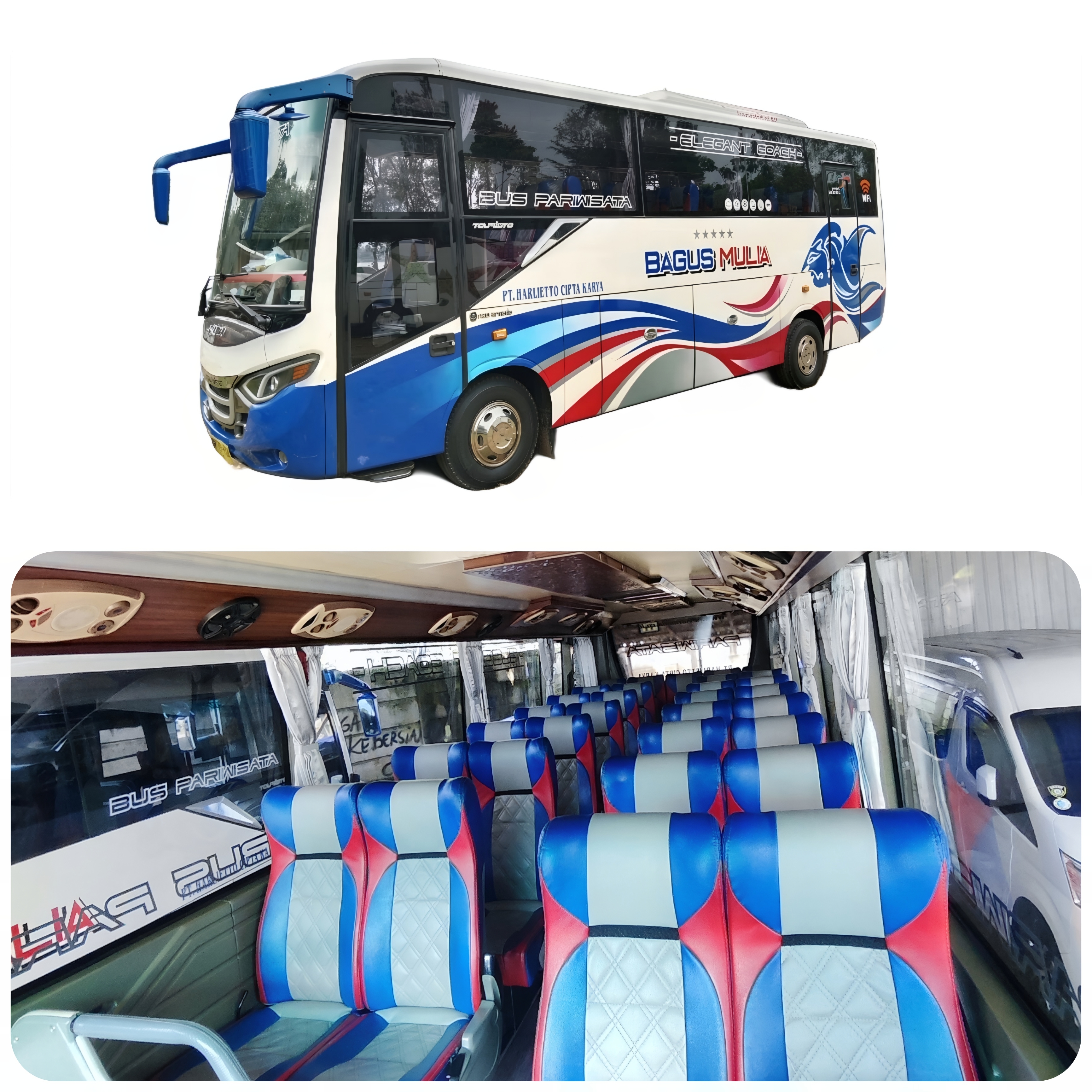 Medium Bus 29 Seat